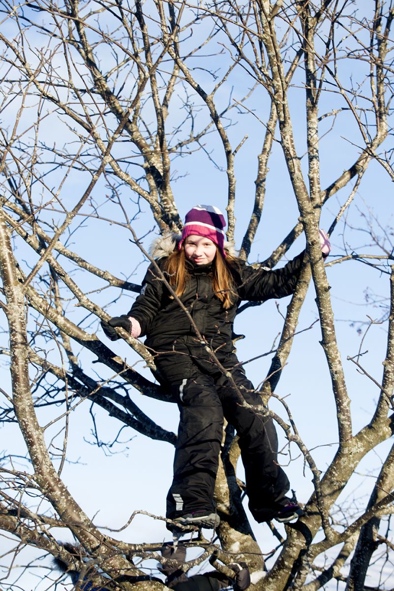 Bilde av et barn i et tre