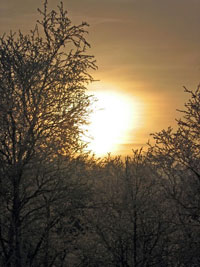 Naturbilde av solnedgang og trær. Copyright NAKU