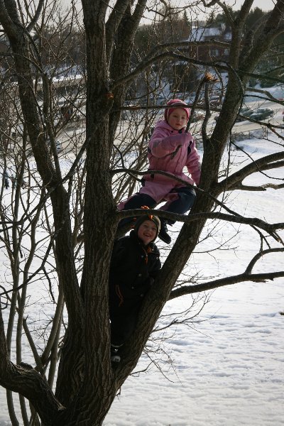 Bilde av to barn som klatrer i et tre - © Karl Elling Ellingsen