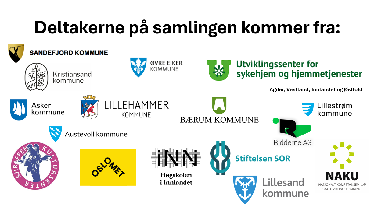 Bilde av logoene til alle kommuner og høgskoler som deltar i prosjektet