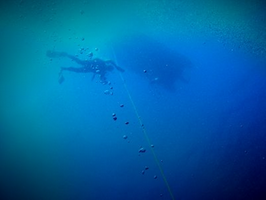 Bilde av en person som dykker under vann copyright Oda Ellingsen