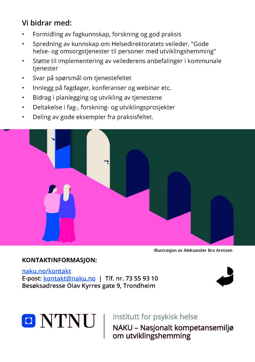 Side to på Flyer om NAKU 