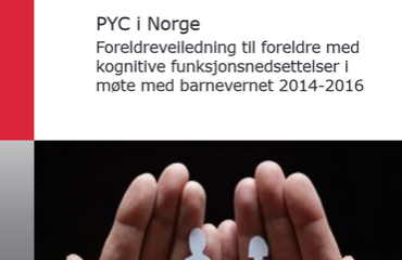 Bide av rapport om PYC i Norge©Høgskolen i Telemark