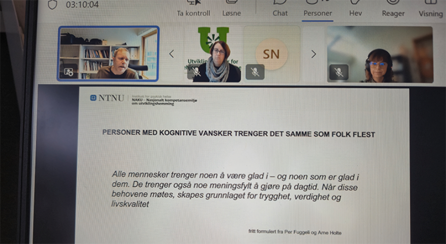 Bilde av webinaret vist på en pc skjerm
