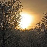 Bilde av vinter, solnedgang og trær copyright NAKU